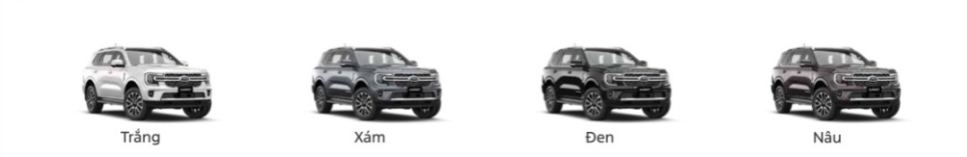 Bảng Màu Everest Platinum