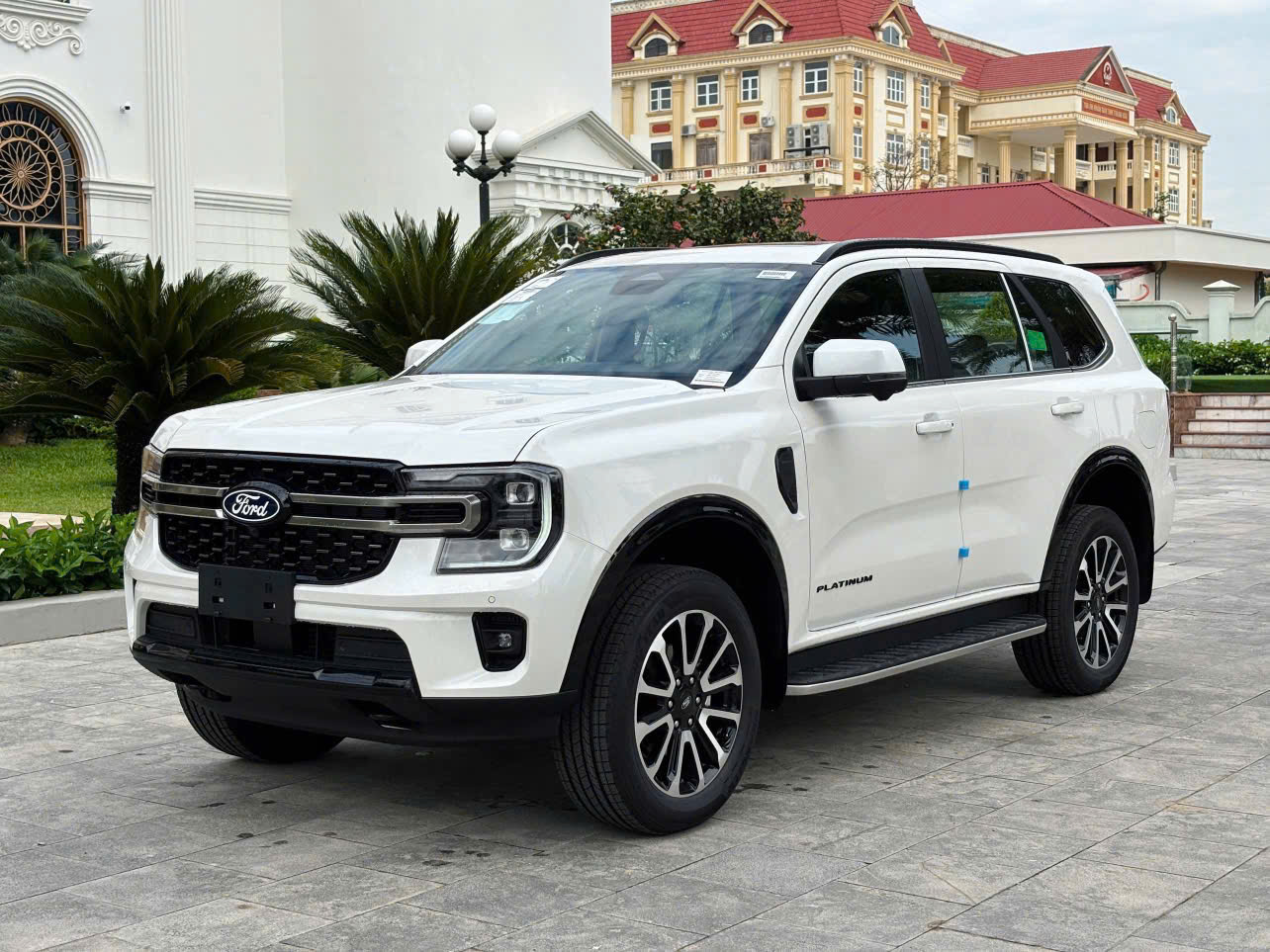 Everest Platinum